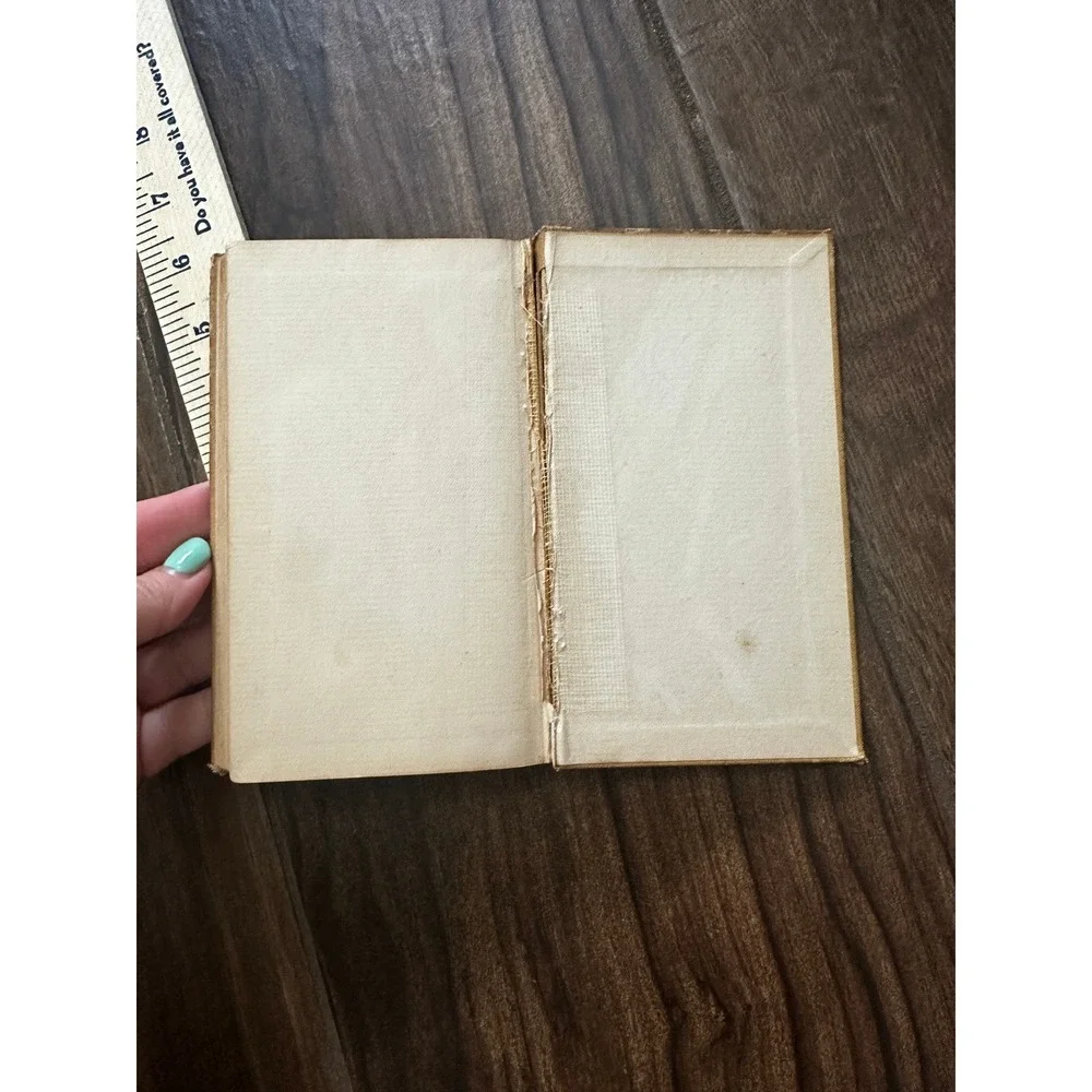 Beside the Bonnie Brier Bush Ian Maclaren 1895 Dodd Mead & Company Antique Book